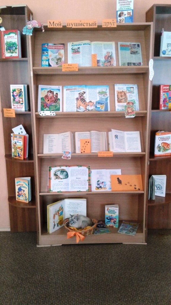 image (4)